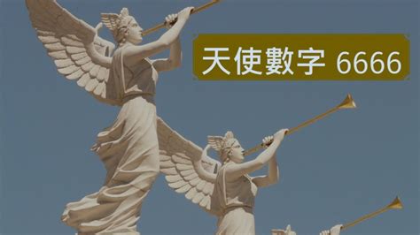 數字66|天使數字66是什麼意思？你的愛情、工作和靈性指引！